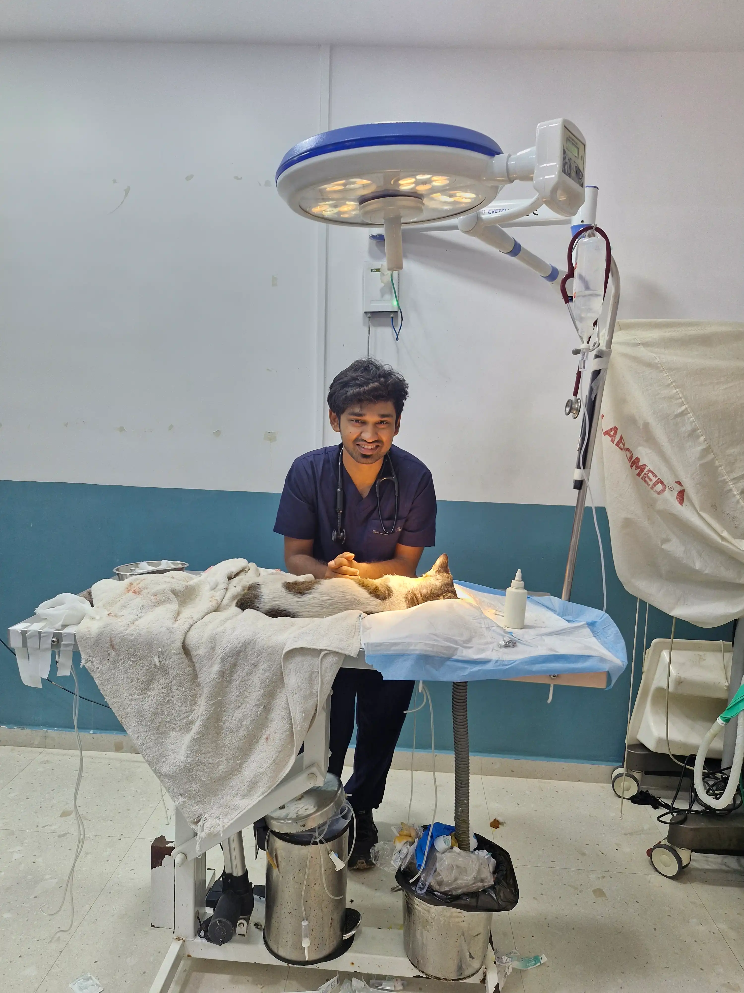 Dr. Sugan holding a calm small primate patient in clinic